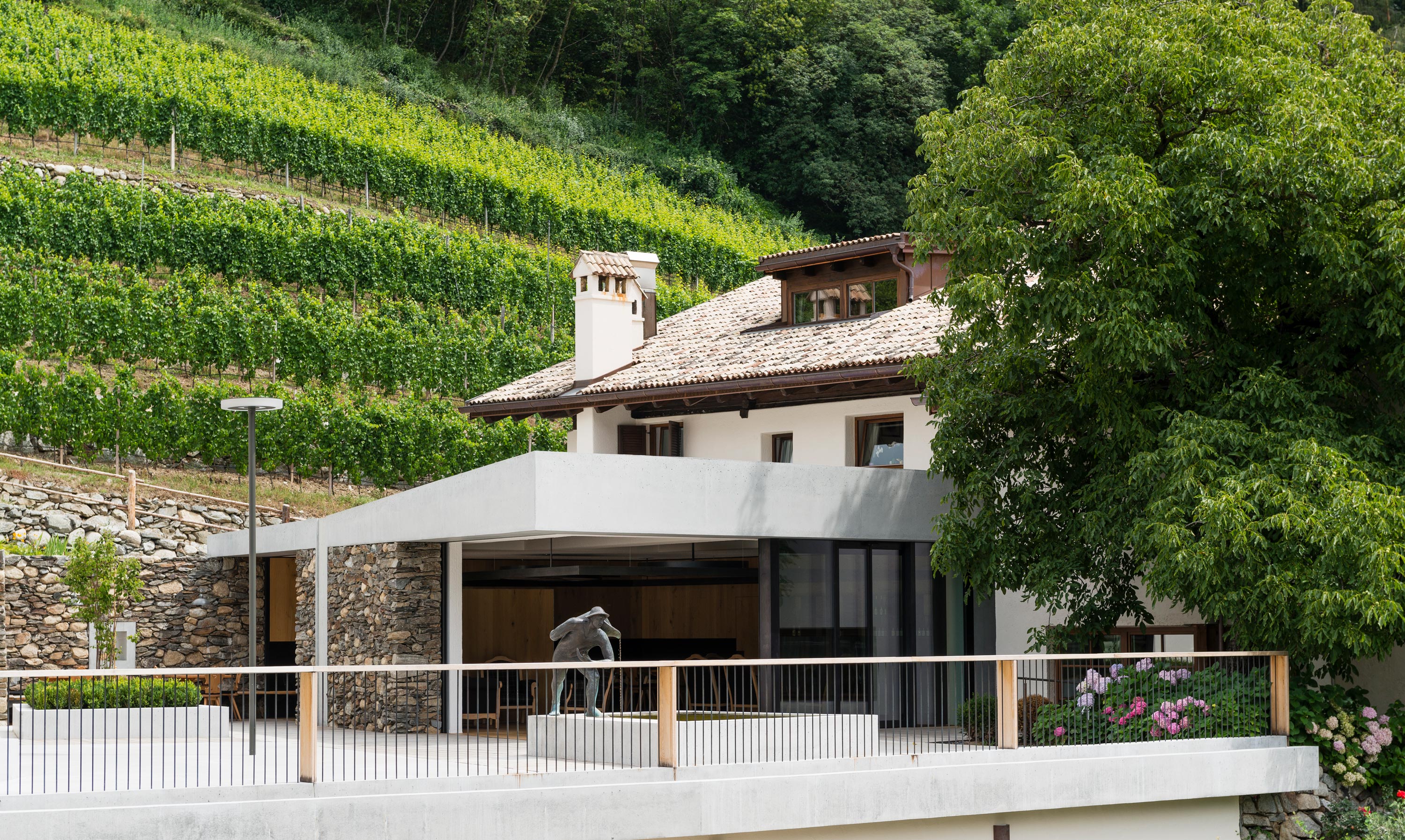 Weingut Pacherhof